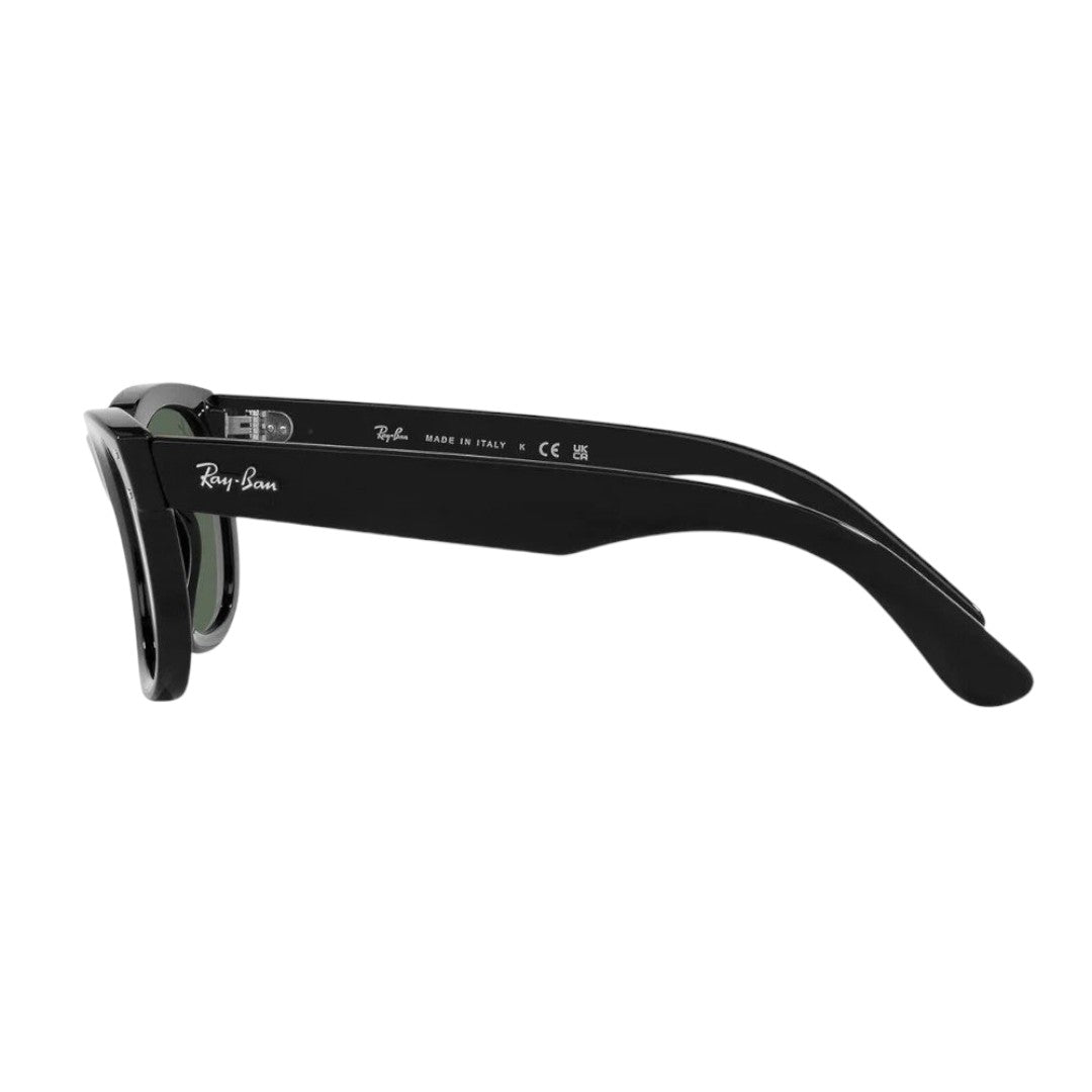 RAY.BAN RB R0502S 6677/VR