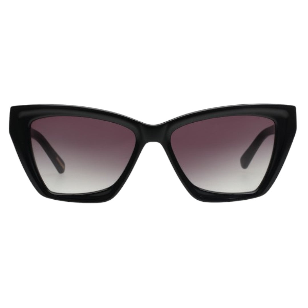 TOMMY HILFIGER TH8003 C1