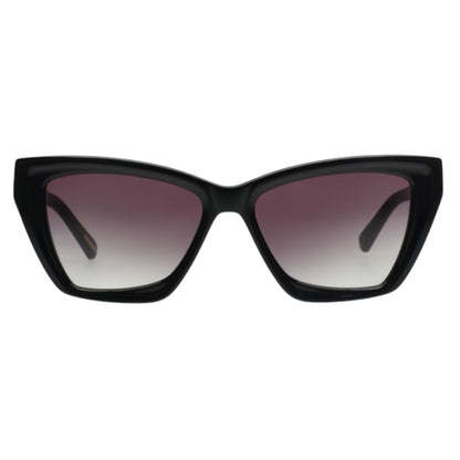 TOMMY HILFIGER TH8003 C1